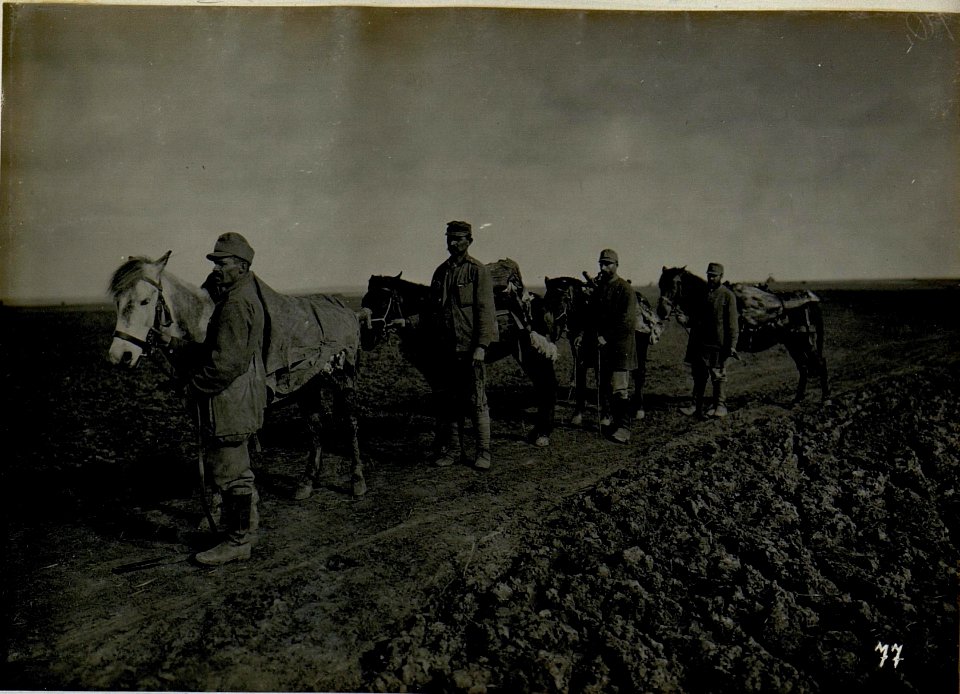 Fleischtransport auf Tragtieren. (BildID 15521560)