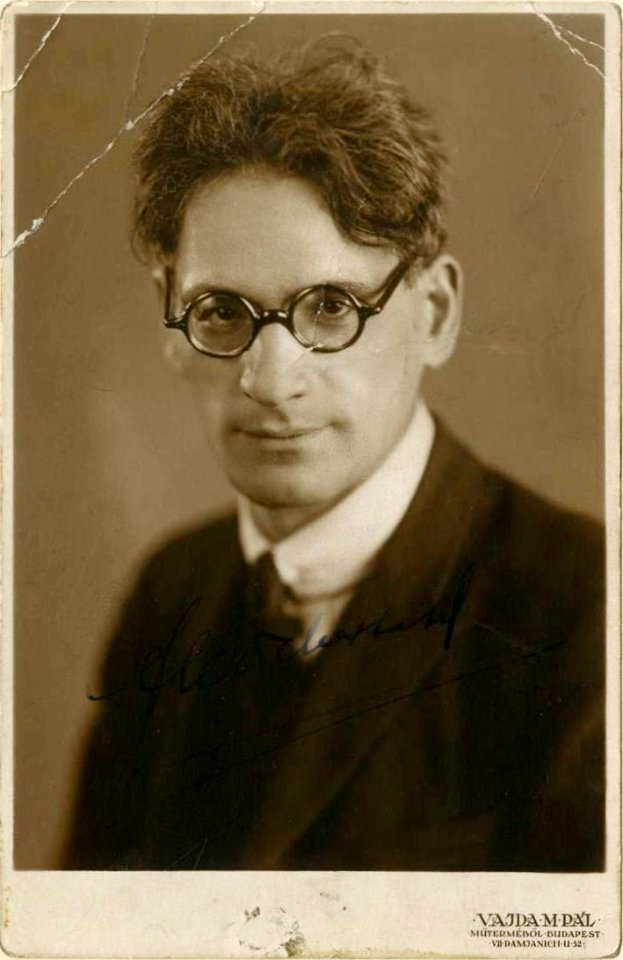 Fleischer Antal (Vajda M. Pál, 1917)