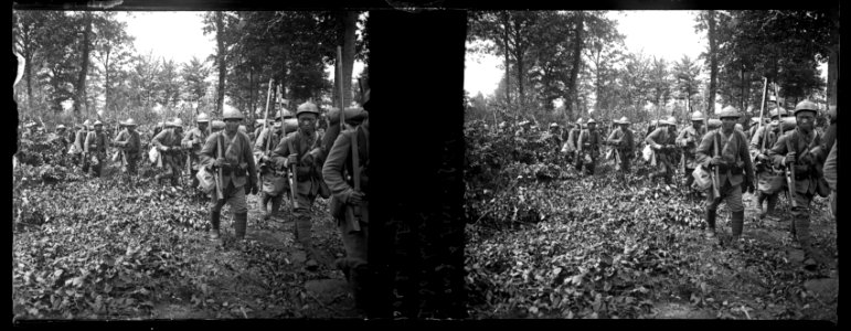 Fleury-sur-Aire. 25-06-16. Indochinois. Bois de Waly - Fonds Berthelé - 49Fi693