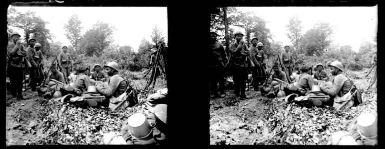Fleury-sur-Aire. 25-06-16. Indochinois. Bois de Waly - Fonds Berthelé - 49Fi696