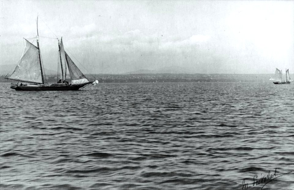 Fleuve Saint-Laurent - Voiliers