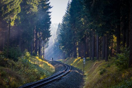 Sun rays nature