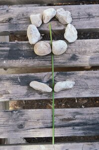 Stones wood background