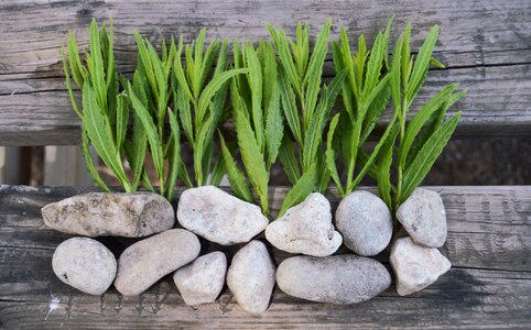 Ecological rustic natural