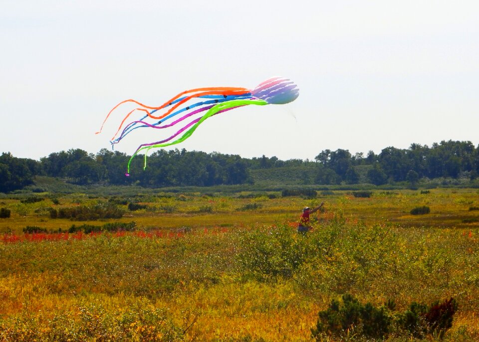 Octopus flight air flow
