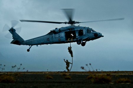Flickr - Official U.S. Navy Imagery - Explosive ordnance disposal Sailors fast-rope.