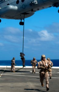 Flickr - Official U.S. Navy Imagery - Marines fast rope during drills.