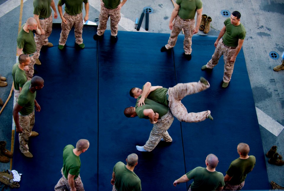 Flickr - Official U.S. Navy Imagery - Marines participate in the Marine Corps Martial Arts Program.
