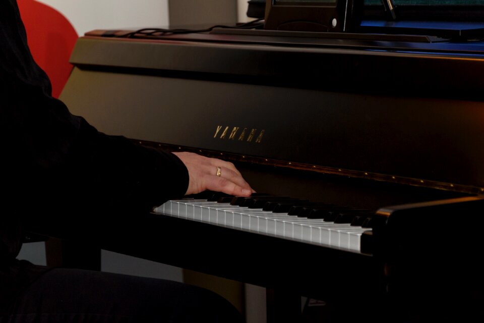 Musician classical music concert