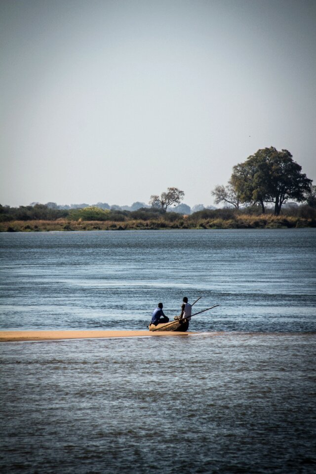 Safari south wildlife