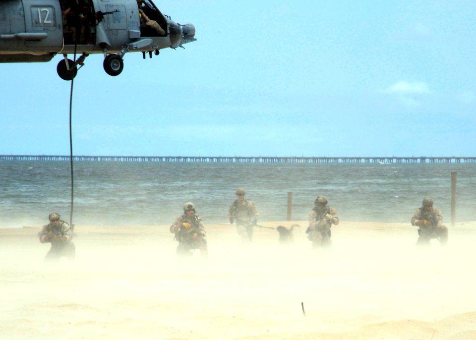 Flickr - Official U.S. Navy Imagery - SEALs demonstrate assault techniques.