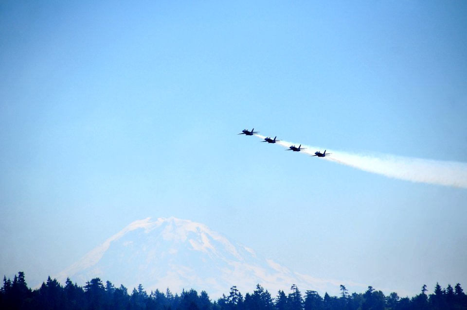 Flickr - Official U.S. Navy Imagery - The Blue Angels perform over Lake Washington.