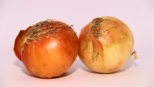 Vegetable fresh healthy