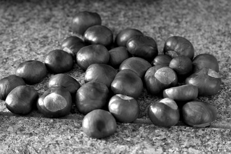 Nature shiny fruit