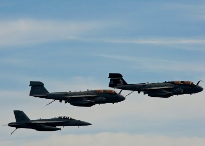 Flickr - Official U.S. Navy Imagery - VAQ-137 performs an aerial change of command.