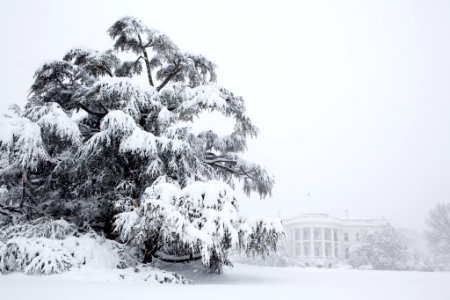 Flickr - Official U.S. Navy Imagery - White House photo during Washington, D.C. Blizzard of 2010.