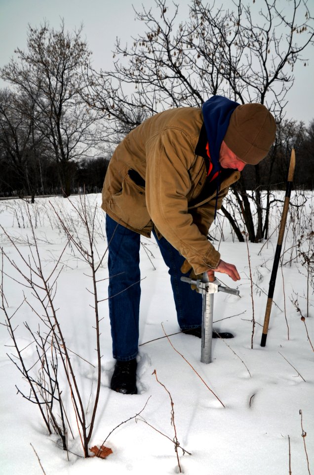 Flickr - USDAgov - Corps conducts snow surveys in Minnesota