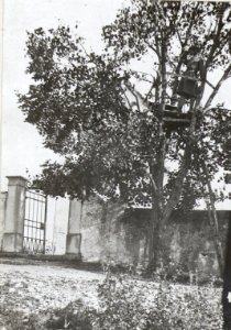 Flieger Beobachterstand a.d. Isonzofront (BildID 15607046)