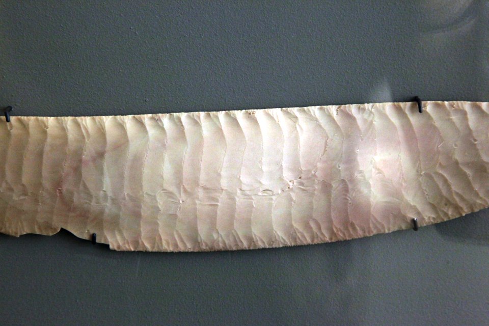 Flint knife-D 1244-IMG 9507