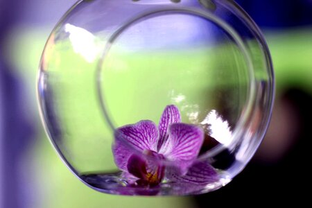 In the glass deco decoration