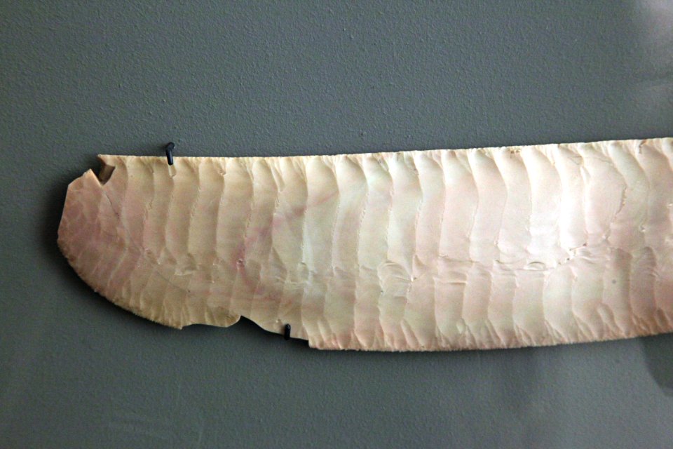 Flint knife-D 1244-IMG 9508