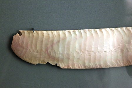 Flint knife-D 1244-IMG 9508