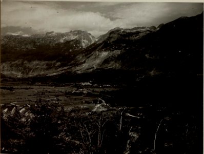 Flitscherbeckern vom Artillerie Beobachter auf JAVORCEK. Aufgenommen am 24. Juli 1916. (BildID 15478493)