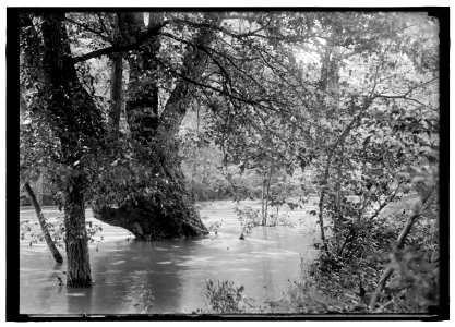 Flood LCCN2016869923
