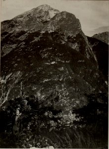 Flitscherbecken vom kleinen SVINJAK. Aufgenommen am 22. Juli 1916. (BildID 15478318)