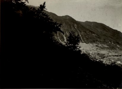 Flitscherbeckern vom Artillerie Beobachter auf JAVORCEK. Aufgenommen am 24. Juli 1916. (BildID 15478479)