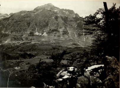 Flitscherbeckern vom Artillerie Beobachter auf JAVORCEK. Aufgenommen am 24. Juli 1916. (BildID 15478500)