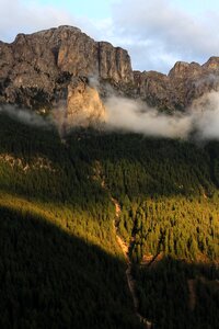 Lights clouds forest