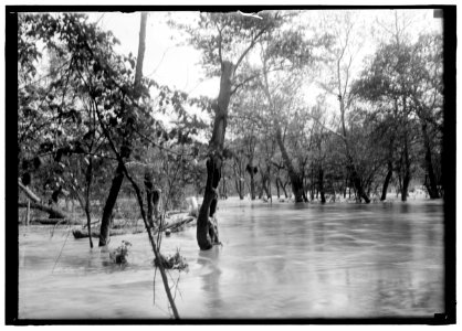 Flood LCCN2016869922