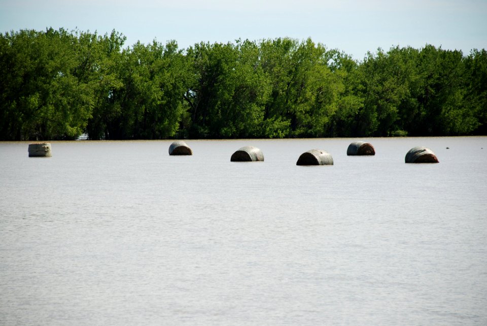 Flooding from the Milk River