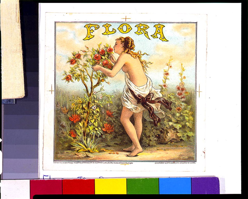 Flora - Schumacher & Ettlinger, lith., 15 Murray St. N. York. LCCN96504684