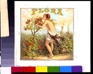 Flora - Schumacher & Ettlinger, lith., 15 Murray St. N. York. LCCN96504684