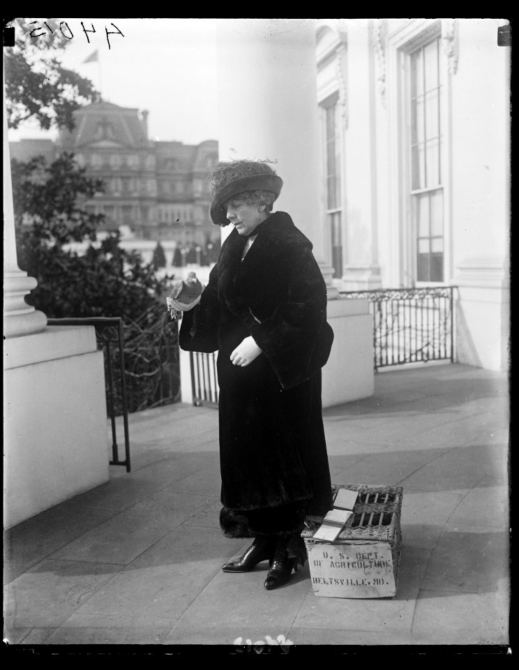 Florence Harding, White House, Washington, D.C. LCCN2016891187