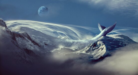 Water panoramic whale photo