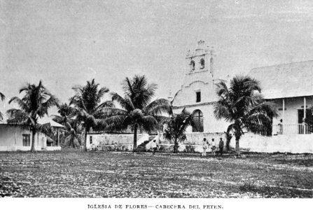 Flores1897d photo