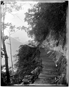 Floresta da Tijuca - 4
