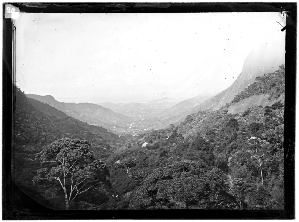 Floresta da Tijuca - 3