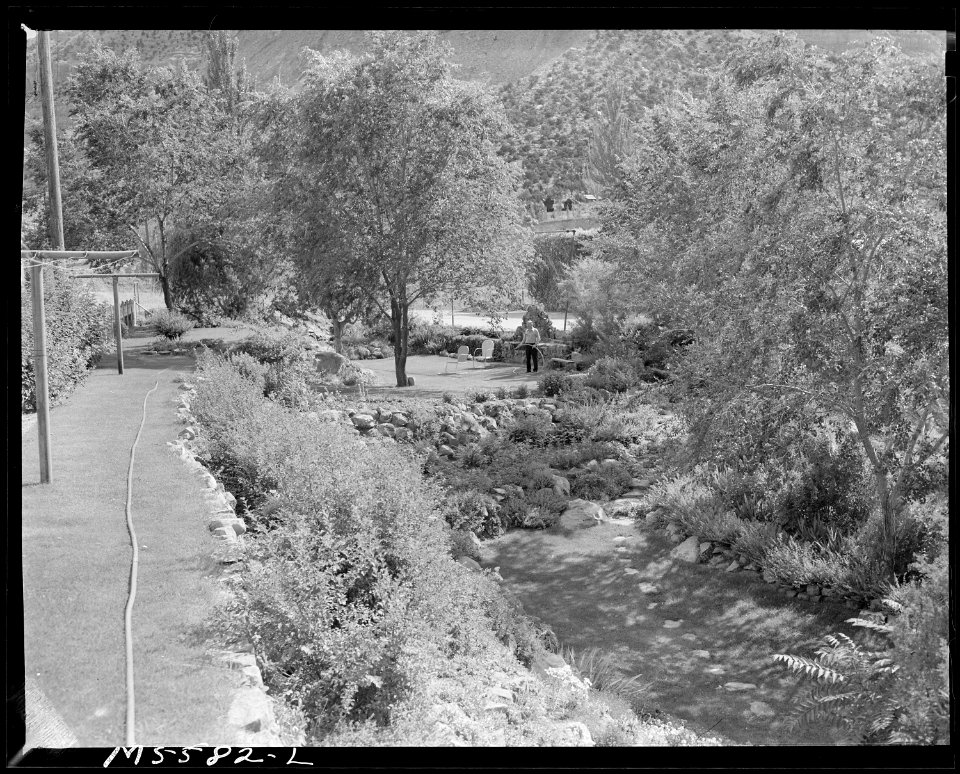 Flower garden of miner living in company housing project. Columbia Steel Company, Columbia Mine, Columbia, Carbon... - NARA - 540503
