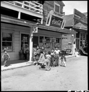 Florin, California. Businesses are being sold by owners of Japanese ancestry. Evacuation of all res . . . - NARA - 537885 photo