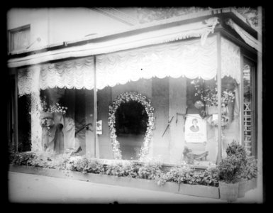 Flower shop, horse show window, 5-20-20 LCCN2016851952