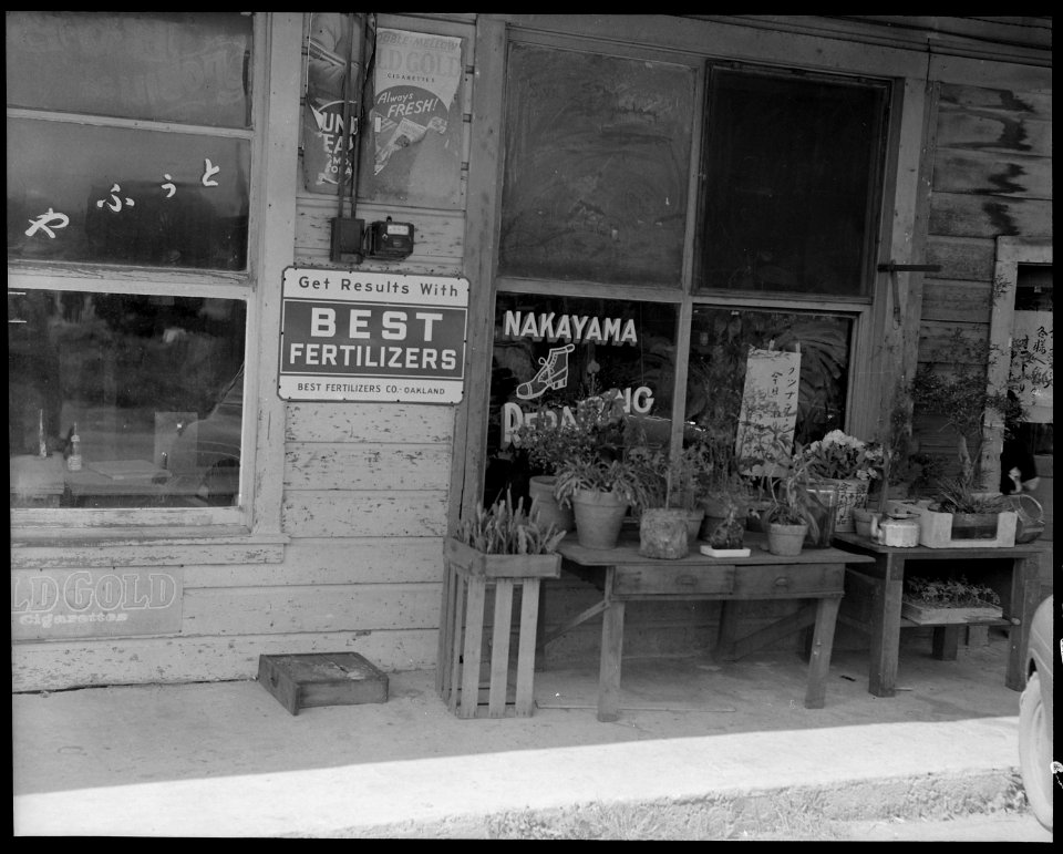 Florin, California. Scene on Main Street in this small agriculture town occupied largely by residen . . . - NARA - 537887