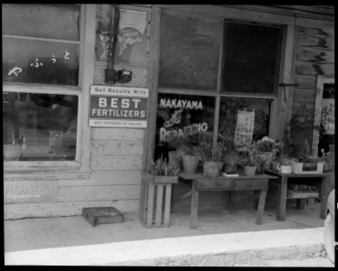 Florin, California. Scene on Main Street in this small agriculture town occupied largely by residen . . . - NARA - 537887