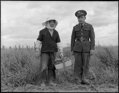 Florin, Sacramento County, California. A soldier and his mother in a strawberry field. The soldier . . . - NARA - 536474