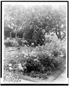 Flower garden, at the home of Mrs. Francis B. Harrington, Ipswich, Massachusetts LCCN97508802