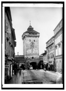 Flower gate at Cracow, Glacia, Austria; Miss Stone LCCN2016820966