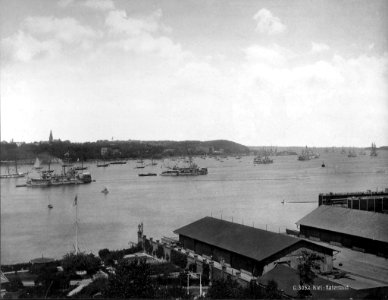 Flotte im Kieler Hafen (Kiel 49.443)